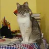 Отзыв от Нелли Сизова